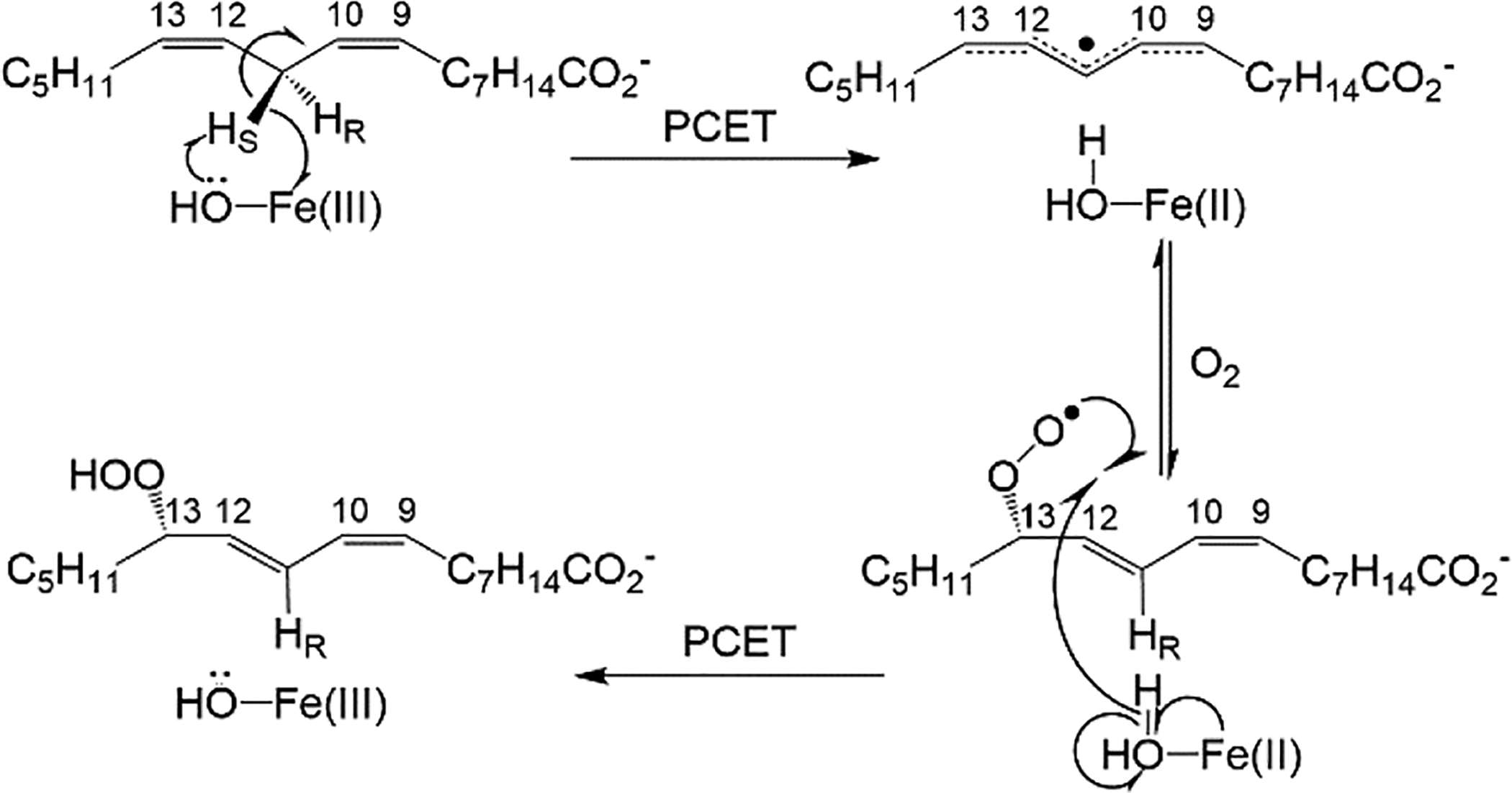 Scheme 1.