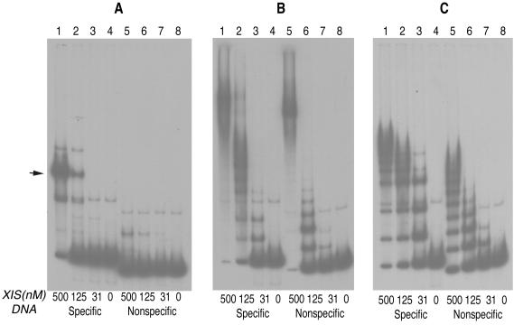 FIG. 5