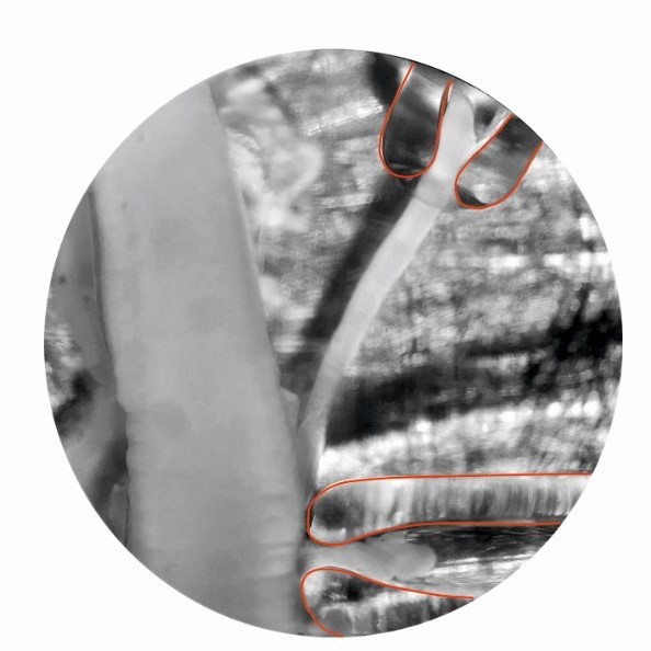 Figure 5.