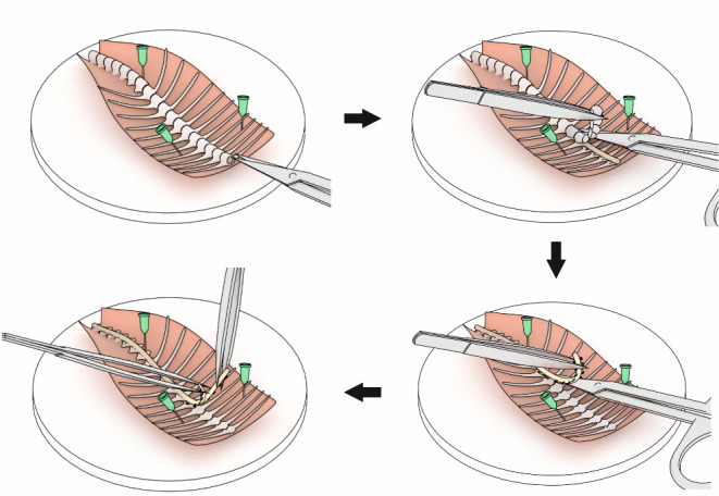 Figure 2.