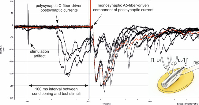 Figure 9.