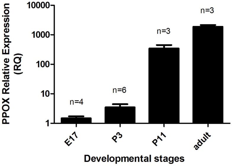 Figure 7