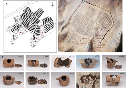 Fig. 3