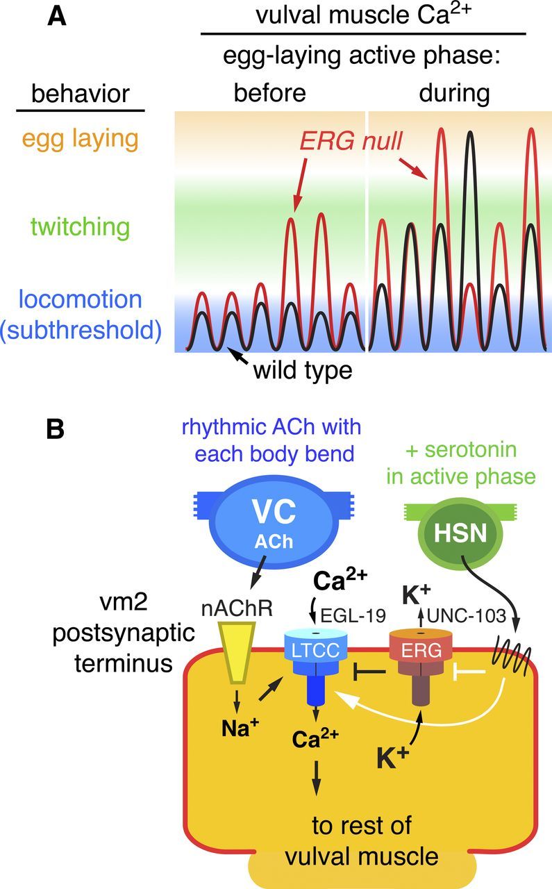 Figure 9.