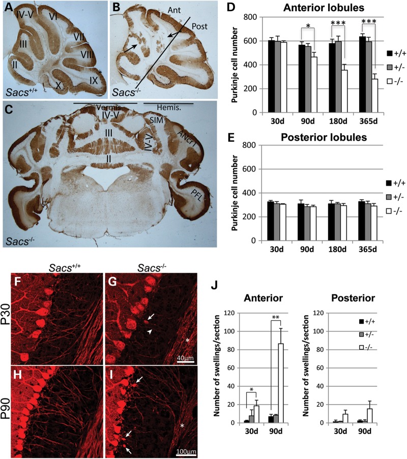 Figure 2.