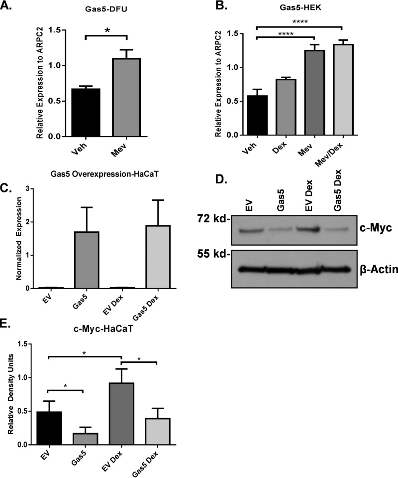 Figure 5.