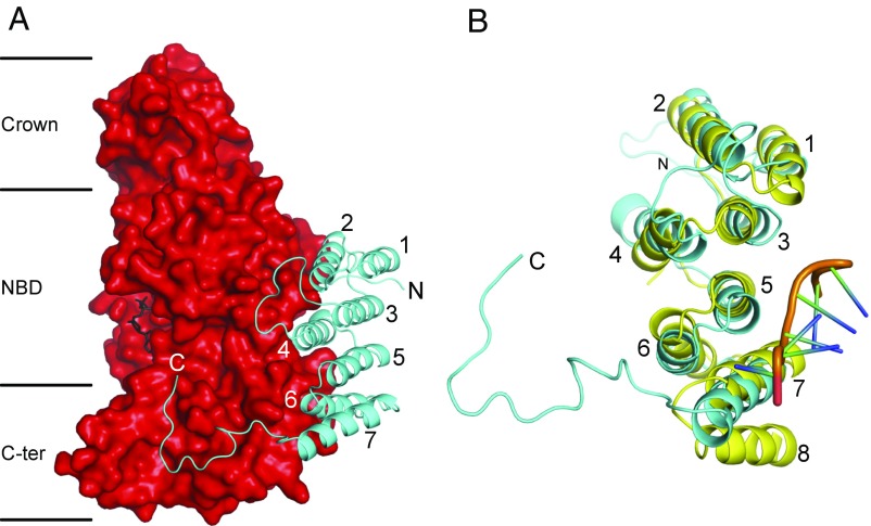 Fig. 3.