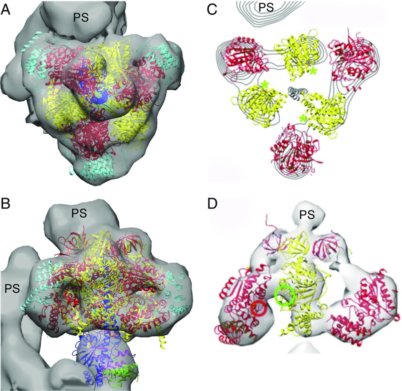 Fig. 4.