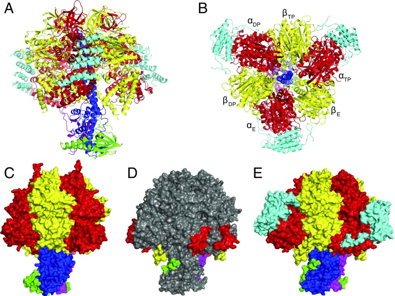 Fig. 1.