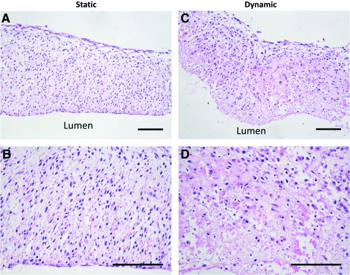 FIG. 8.