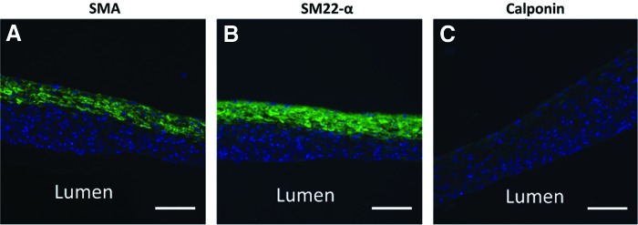 FIG. 11.