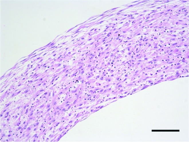 FIG. 12.