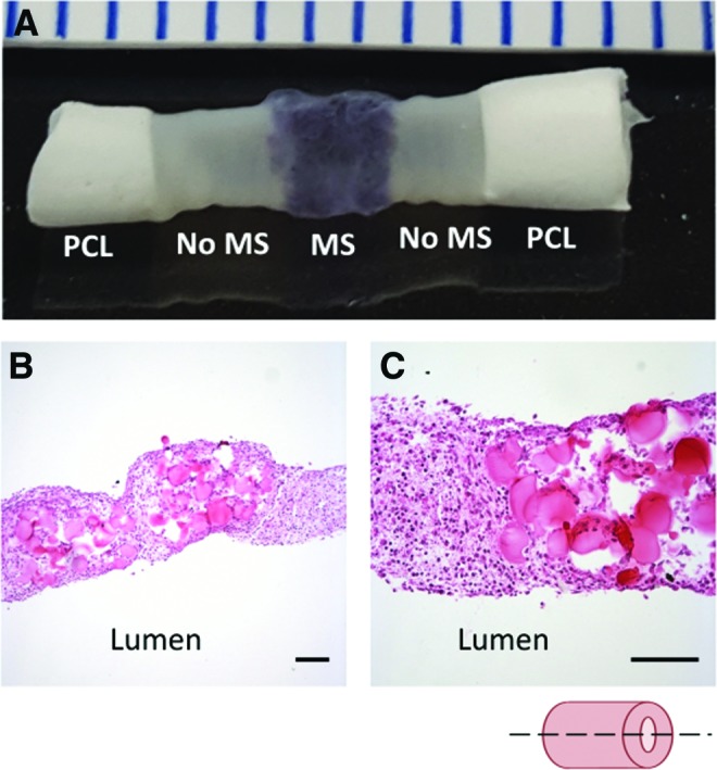 FIG. 10.