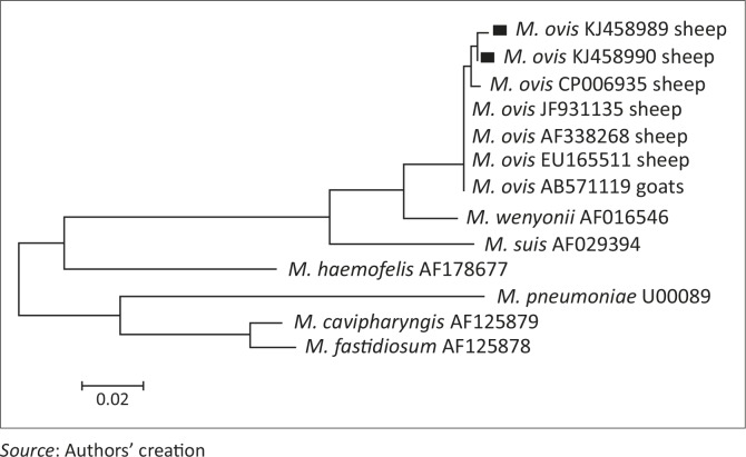 FIGURE 2