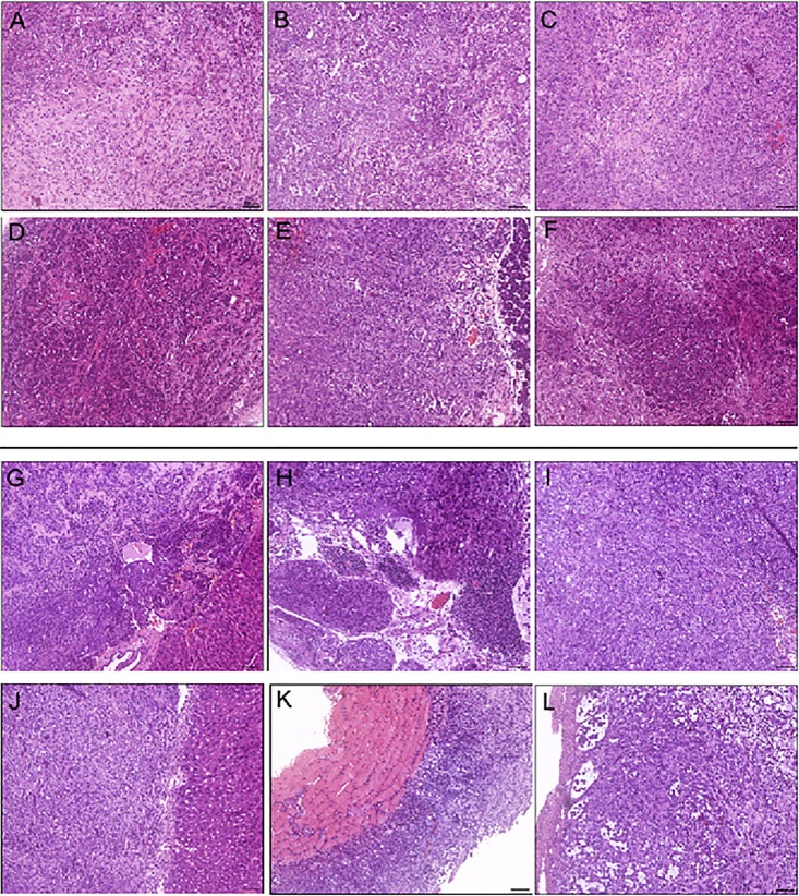 Figure 5