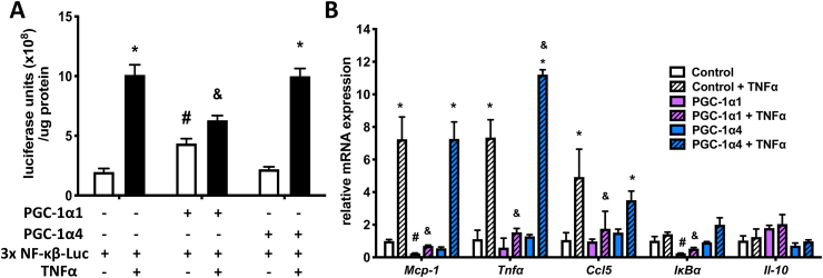 Figure 6