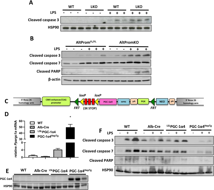 Figure 7