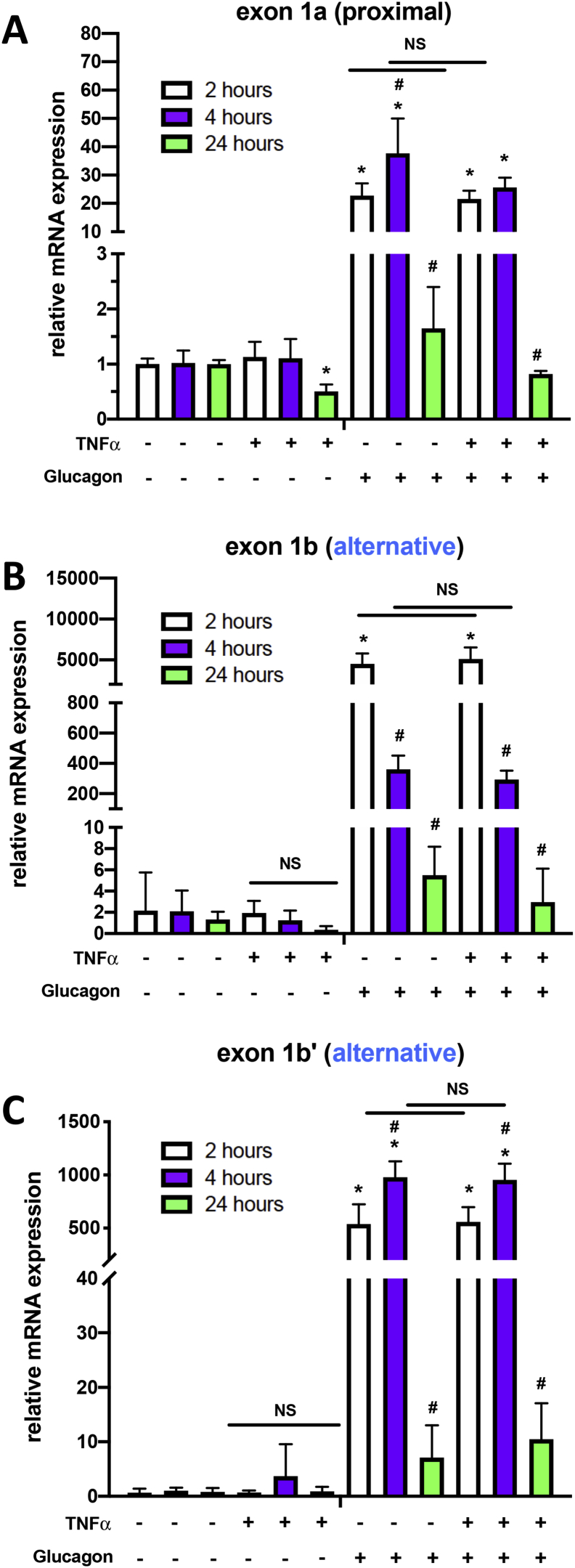 Figure 4