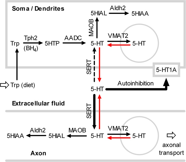 Figure 13.