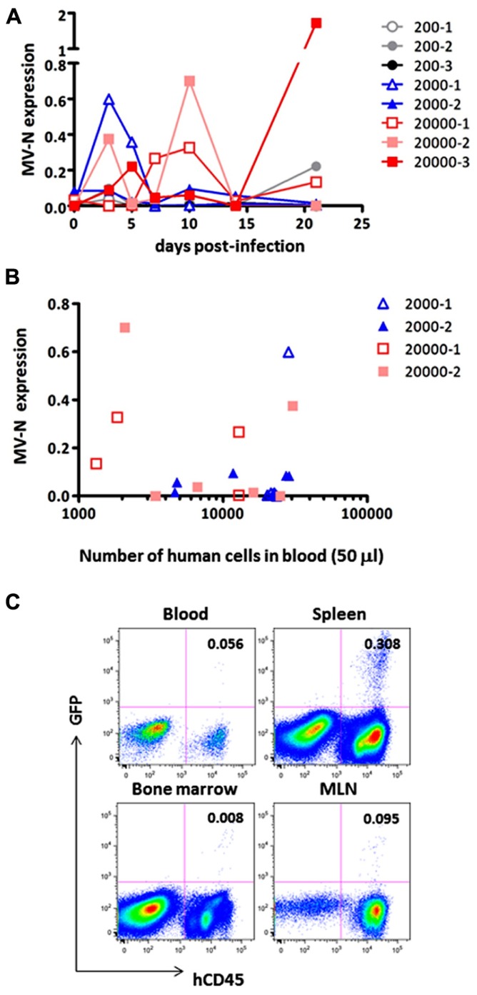 FIGURE 4