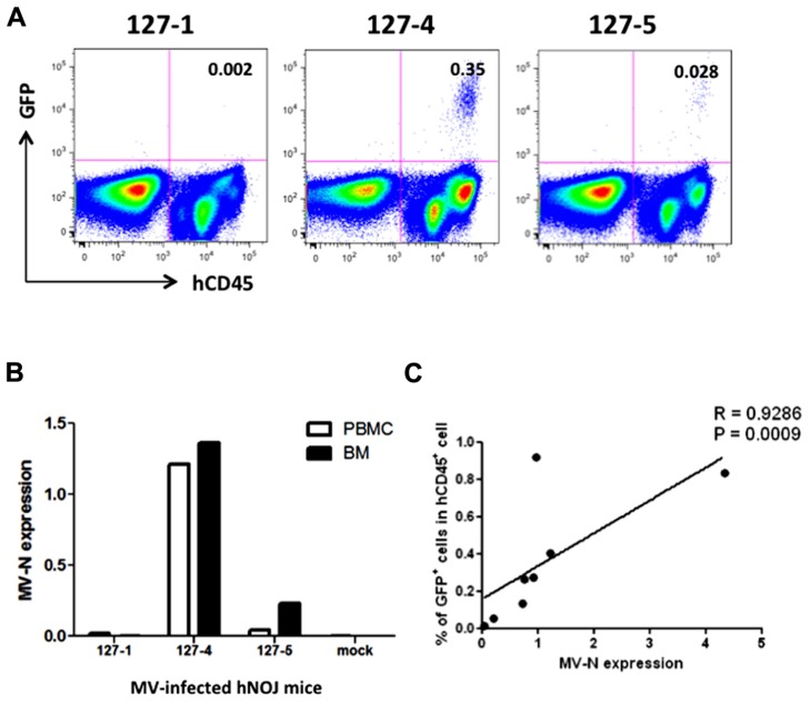 FIGURE 3