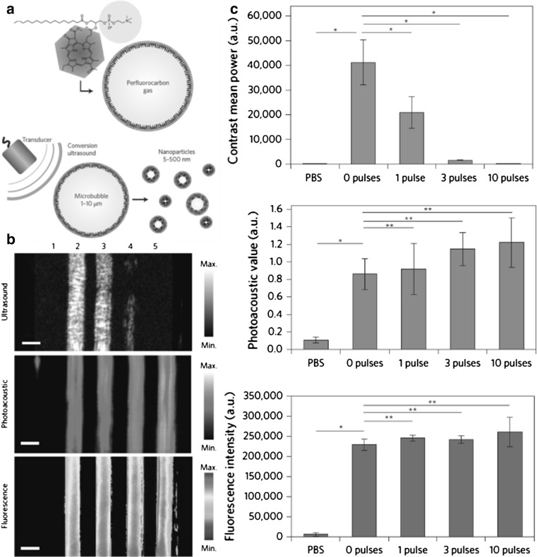Fig. 3
