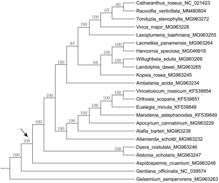 Figure 1.