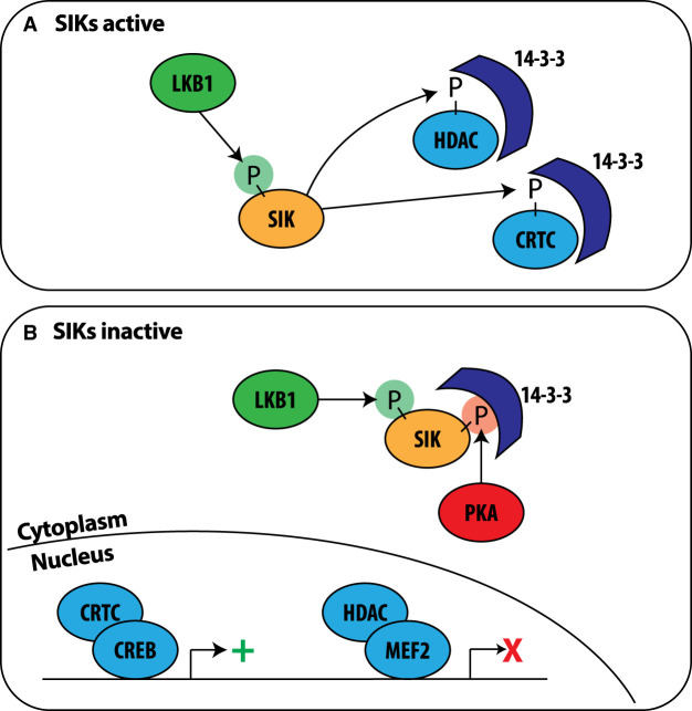 Figure 2.