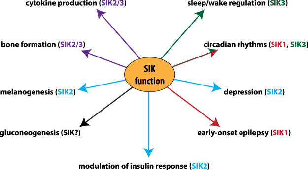 Figure 4.