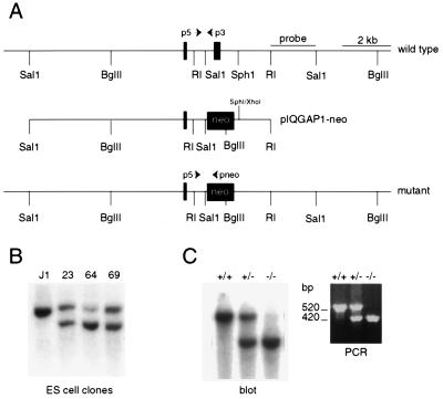 FIG. 1