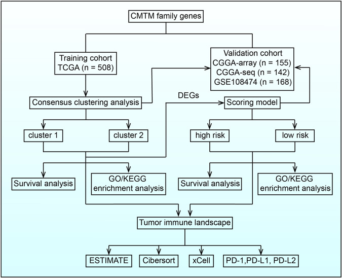 FIGURE 1