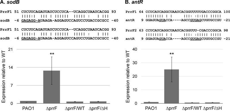 FIG 2