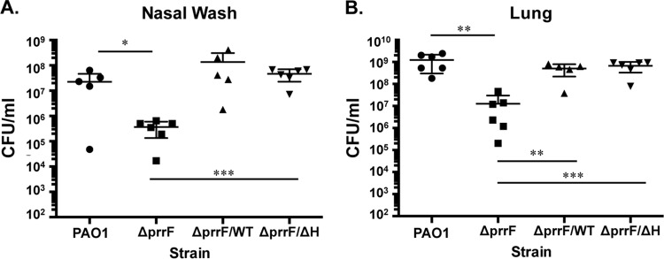 FIG 6