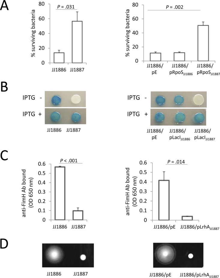 FIG 2