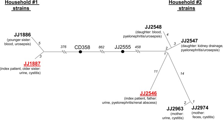 FIG 1