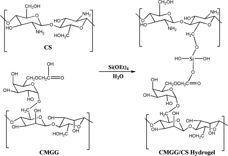 Scheme 2