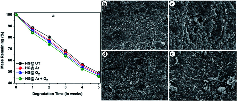 Fig. 11