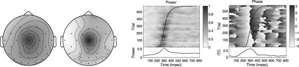 Fig. 10