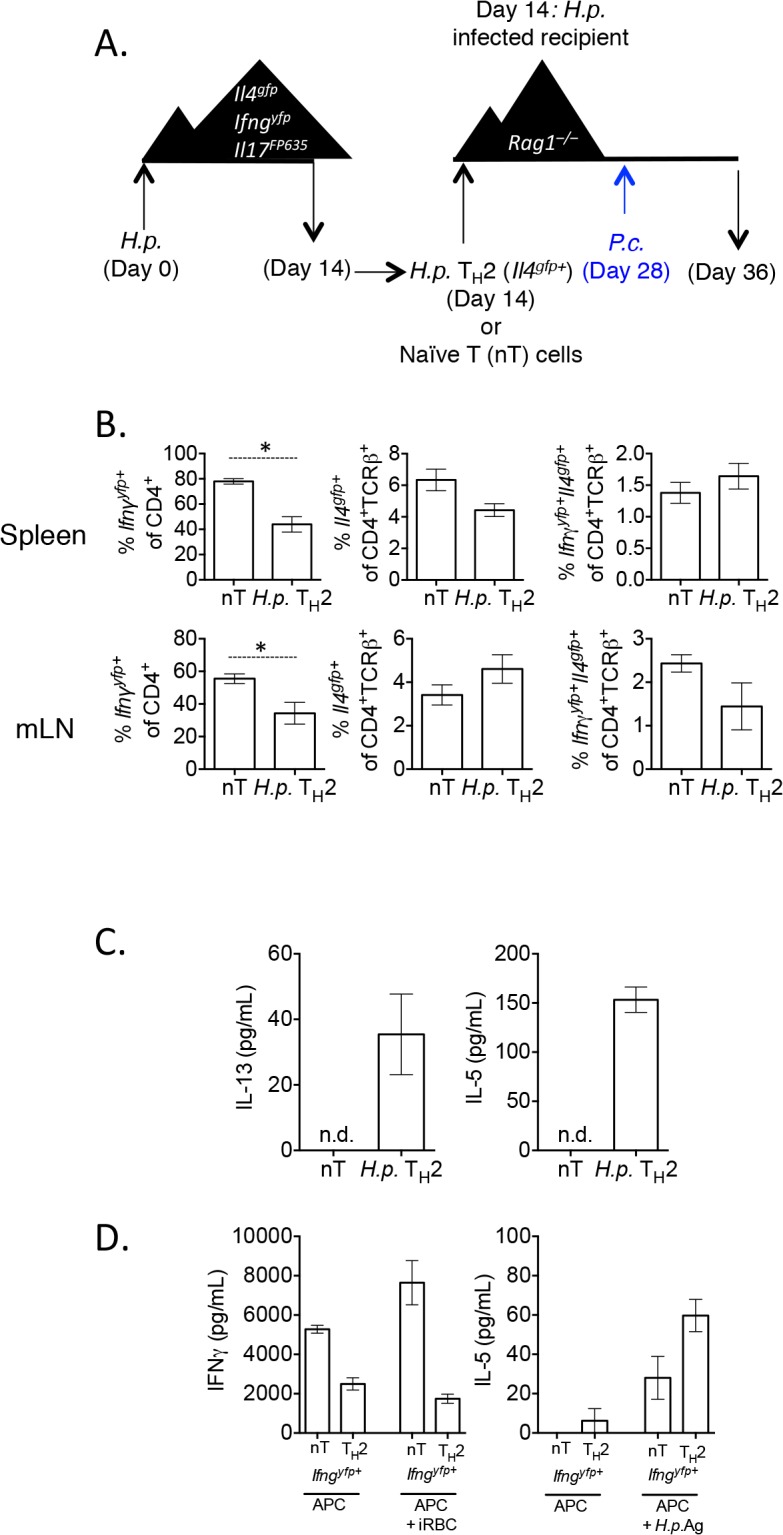 Fig 9