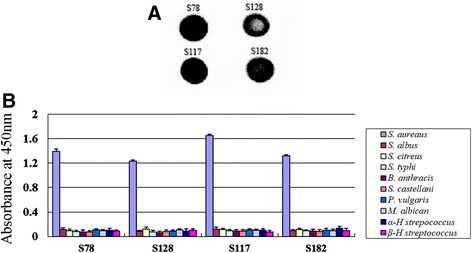 Fig. 8