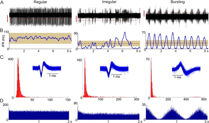 Figure 1