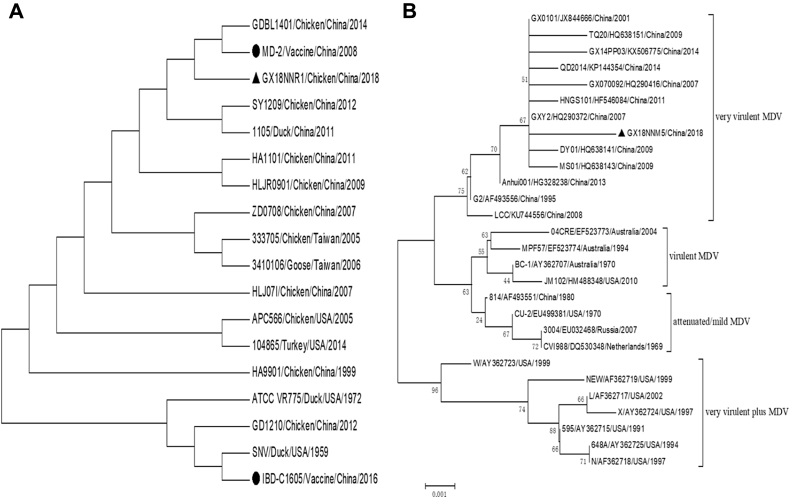 Figure 3