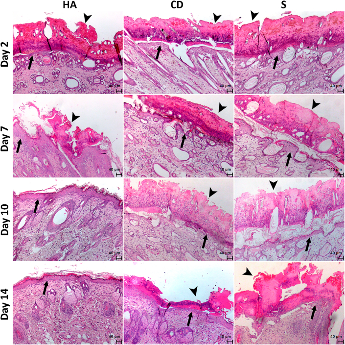 Figure 2