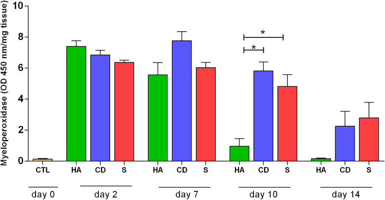 Figure 4