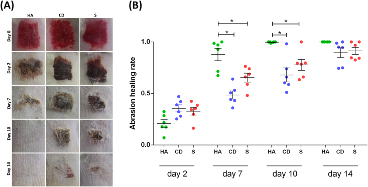 Figure 1