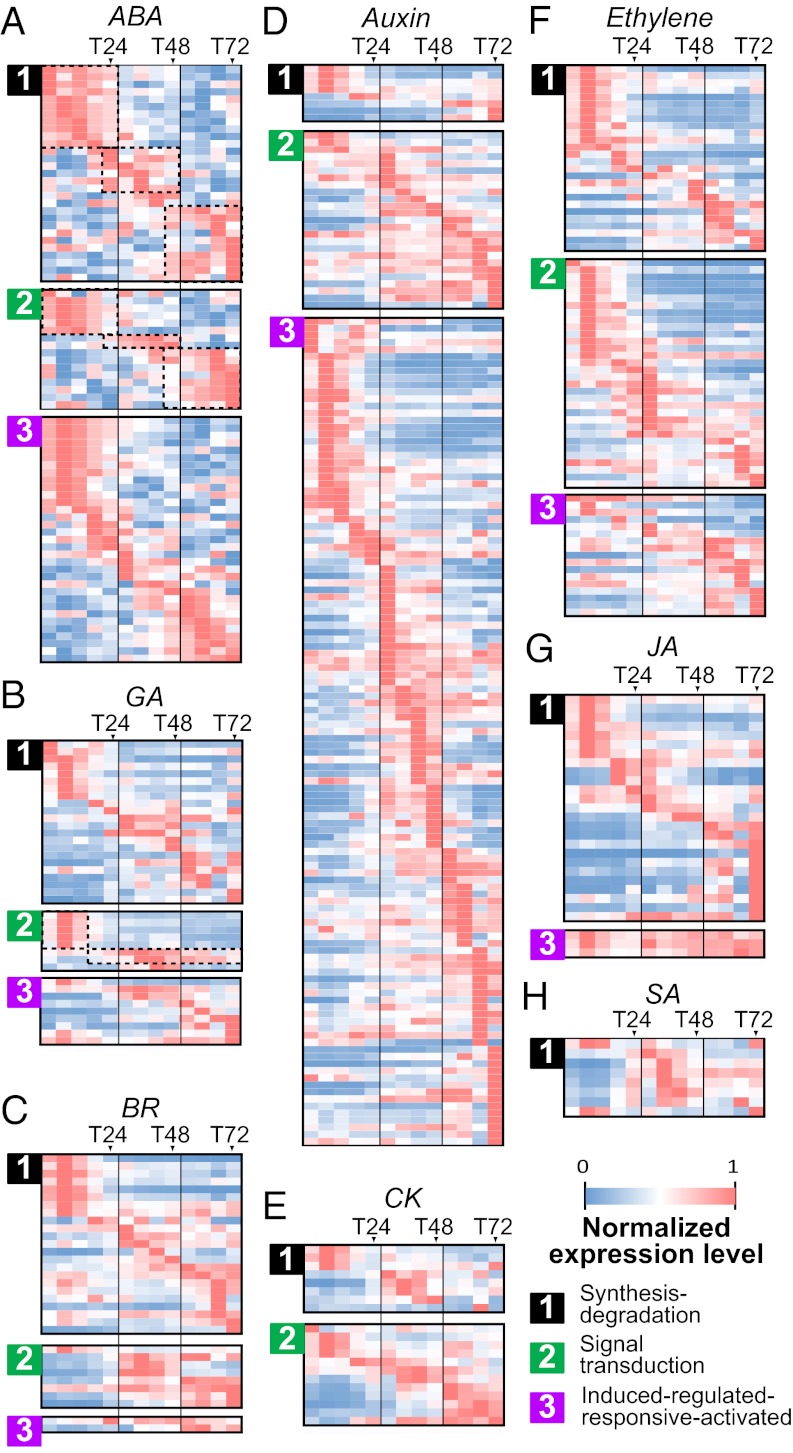 Fig. 4.