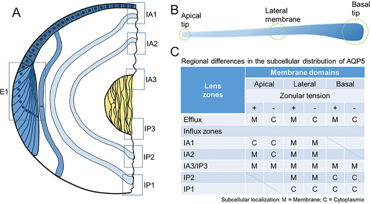 Figure 9.