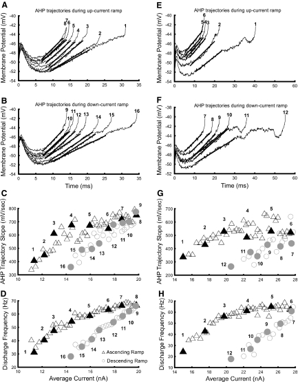 Fig. 6.