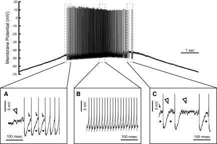 Fig. 5.