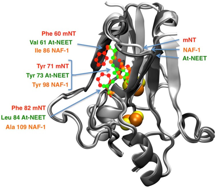 Fig. 3